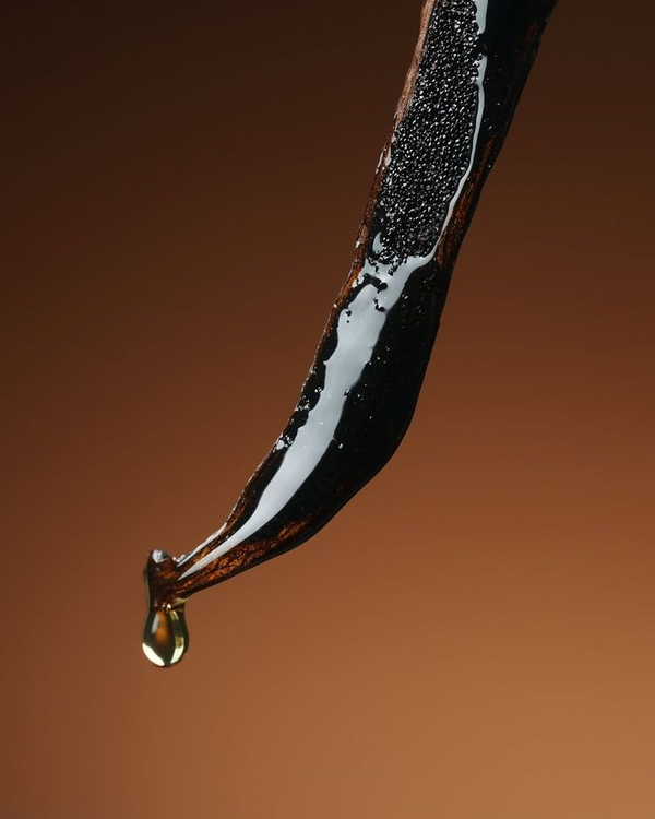 Vanilje Absolutt Olje