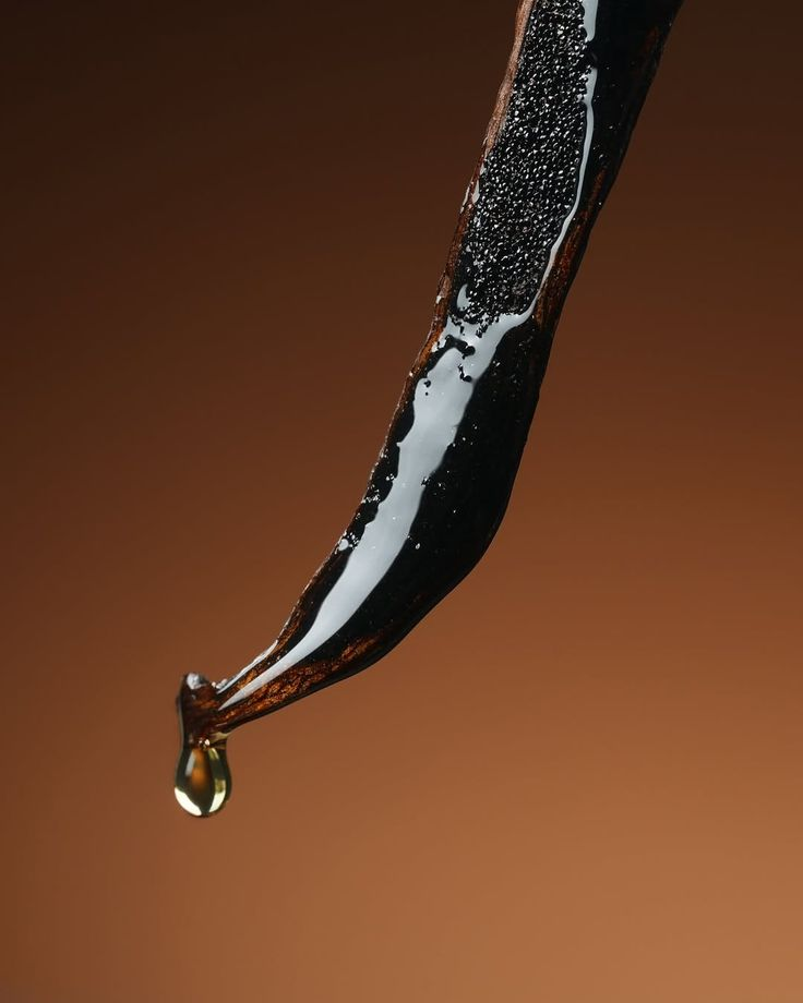 Infused Vanilla Bean