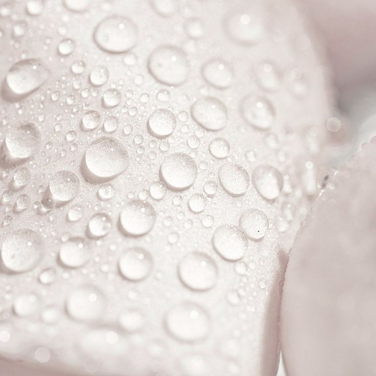 White Rose Hydrosol